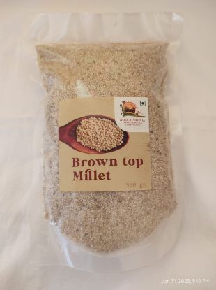 Picture of Brown Top Millet- 500 gms